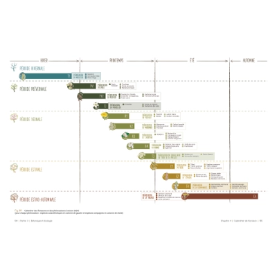 Tableau des phénosaisons (version 2024)